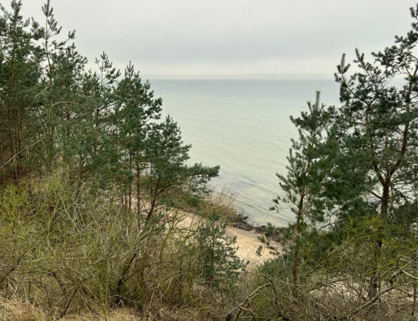 Blick von der Steilküste